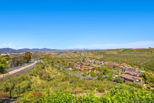 Single Family Residence, 11393 Vista Elevada, San Diego, CA 92131 - 23