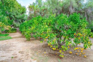 Single Family Residence, 9 Country Glen rd, Fallbrook, CA 92028 - 68