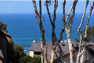 Residential Lease, 252 Dolphin Cove Ct, Del Mar, CA  Del Mar, CA 92014