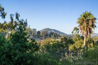 Single Family Residence, 3247 Cerros Redondos, Rancho Santa Fe, CA 92067 - 10