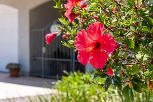 Single Family Residence, 2001 Elevada st, Oceanside, CA 92054 - 8