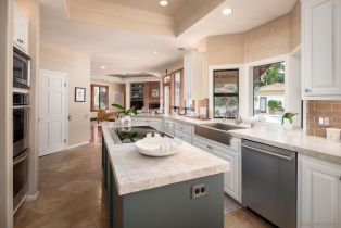 Single Family Residence, 17207 El Caporal, Rancho Santa Fe, CA 92067 - 8