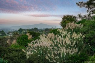 Single Family Residence, 1243 Crest dr, Encinitas, CA 92024 - 35