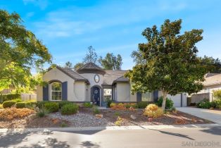 Single Family Residence, 1032 Inverlochy dr, Fallbrook, CA 92028 - 31