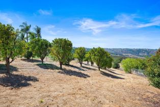 Single Family Residence, 31782 Tracy Lyn dr, Valley Center, CA 92082 - 33