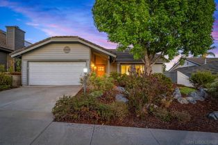 Single Family Residence, 1565 Hawk vw, Encinitas, CA 92024 - 31