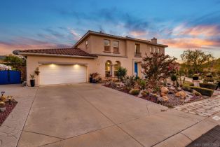 Single Family Residence, 14231 Augusta dr, Valley Center, CA 92082 - 2