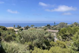 Residential Lease, 1290 La Jolla Rancho Rd., La Jolla, CA  La Jolla, CA 92037