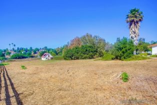 Single Family Residence, 2231 Creekview ln, Fallbrook, CA 92028 - 51