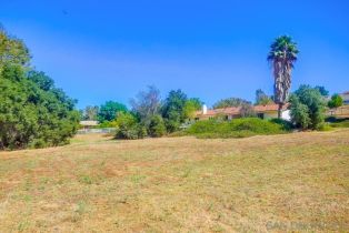 Single Family Residence, 2231 Creekview ln, Fallbrook, CA 92028 - 53