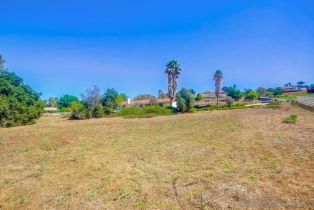 Single Family Residence, 2231 Creekview ln, Fallbrook, CA 92028 - 54