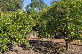 Single Family Residence, 1522 Ranchwood ln, Fallbrook, CA 92028 - 35