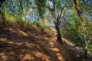 , 0 Oak Canyon rd, Poway, CA 92064 - 40