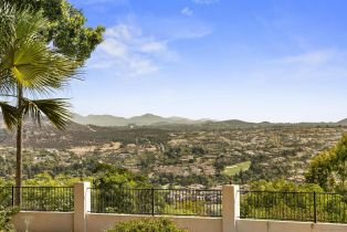 , 7722 Rancho Santa Fe View ct, Rancho Santa Fe, CA 92067 - 17