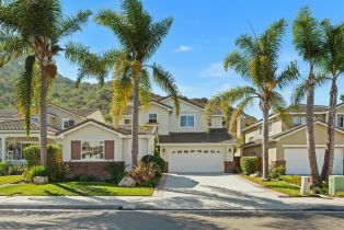 Single Family Residence, 5077 ASHBERRY RD, Carlsbad, CA  Carlsbad, CA 92008