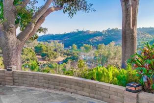 Single Family Residence, 2923 Canonita dr, Fallbrook, CA 92028 - 37