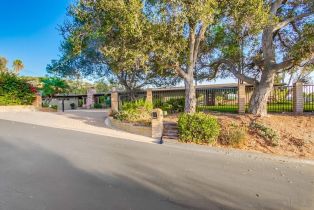 Single Family Residence, 2923 Canonita dr, Fallbrook, CA 92028 - 38