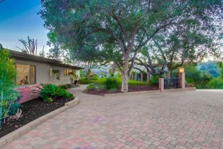 Single Family Residence, 2923 Canonita dr, Fallbrook, CA 92028 - 40