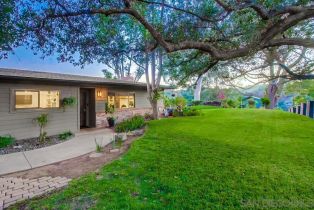 Single Family Residence, 2923 Canonita dr, Fallbrook, CA 92028 - 41