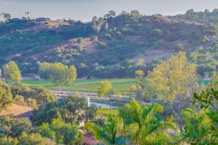 Single Family Residence, 2923 Canonita dr, Fallbrook, CA 92028 - 49