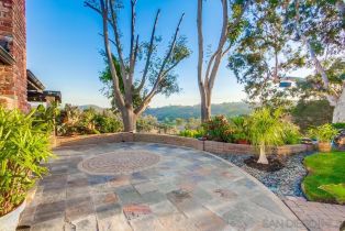 Single Family Residence, 2923 Canonita dr, Fallbrook, CA 92028 - 71