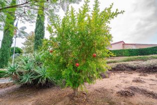 Single Family Residence, 2025 Stage ter, Fallbrook, CA 92028 - 59