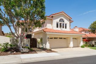 , 3057 Caminito Sagunto, Del Mar, CA 92014 - 25