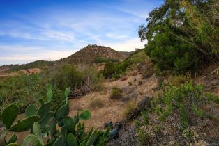 Single Family Residence, 29531 Gordon Hill rd, Valley Center, CA 92082 - 40