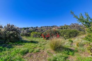 Single Family Residence, 2043 Vista Valle Verde dr, Fallbrook, CA 92028 - 37