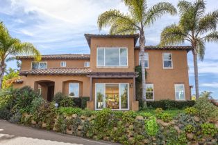 Single Family Residence, 2817 Cazadero dr, Carlsbad, CA 92009 - 2