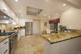 , 131 Morelia ct, Solana Beach, CA 92075 - 18