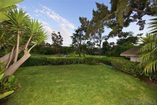 , 131 Morelia ct, Solana Beach, CA 92075 - 40