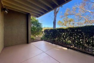 Condominium, 3137 Via Alicante, La Jolla, CA 92037 - 15