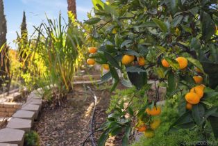 Single Family Residence, 7316 El Fuerte st, Carlsbad, CA 92009 - 37