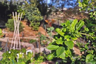 Single Family Residence, 7316 El Fuerte st, Carlsbad, CA 92009 - 38