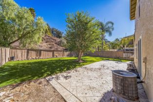 Single Family Residence, 3358 Avocado Vista ln, Fallbrook, CA 92028 - 20