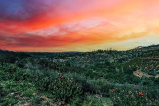 Single Family Residence, 3734 Foxglove ln, Fallbrook, CA 92028 - 53