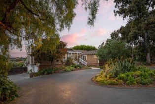 Single Family Residence, 1048 Highland dr, Del Mar, CA 92014 - 51