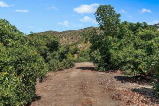 Single Family Residence, 3264 Shearer xing, Fallbrook, CA 92028 - 42