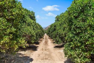 Single Family Residence, 3264 Shearer xing, Fallbrook, CA 92028 - 44