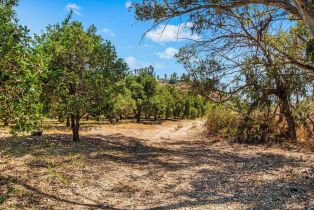 Single Family Residence, 3264 Shearer xing, Fallbrook, CA 92028 - 48