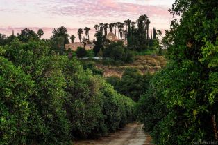 Single Family Residence, 3264 Shearer xing, Fallbrook, CA 92028 - 52