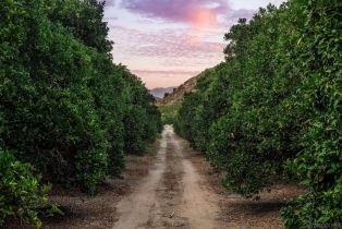 Single Family Residence, 3264 Shearer xing, Fallbrook, CA 92028 - 54