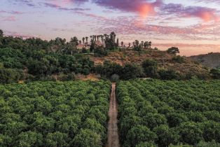 Single Family Residence, 3264 Shearer xing, Fallbrook, CA 92028 - 55