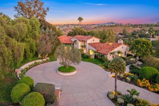 Single Family Residence, 17335 El Vuelo, Rancho Santa Fe, CA 92067 - 4