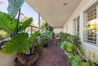 , 253 Gravilla st, La Jolla, CA 92037 - 32