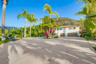 Single Family Residence, 29312 Costalota rd, Valley Center, CA 92082 - 58