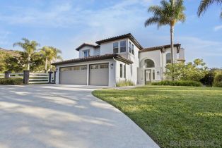 Single Family Residence, 3205 Brookside ln, Encinitas, CA 92024 - 3