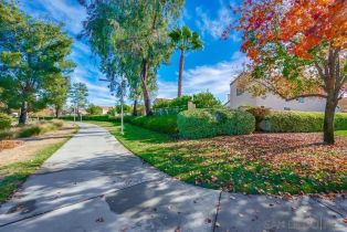 Single Family Residence, 31734 Calle Novelda, Temecula, CA 92592 - 40