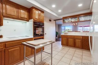 Single Family Residence, 1359 Knoll Park ln, Fallbrook, CA 92028 - 30